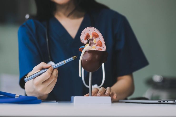 Nephrology,Pranaah Hospital, Dr. B. Vinay Kumar